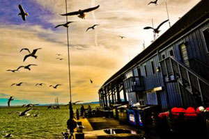 数据恢复工具的自动攻击网站工具下载