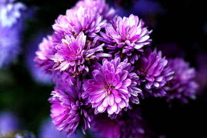 DDOS在线压力测试